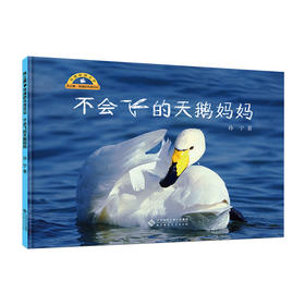 朱鹮的传说