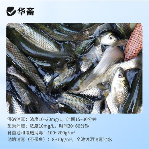 华畜高锰酸钾鱼用鱼缸消毒液鱼塘鱼池乌龟杀菌药高猛酸钾粉末兽用 商品图2