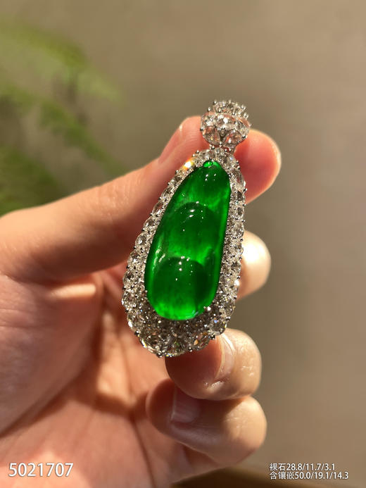 帝王绿福豆吊坠【5021707】具体价格微信咨询 商品图2
