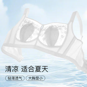 【超薄透气大胸显小】全罩杯夏季薄款调整型内衣收副乳镂空文胸美人香草A