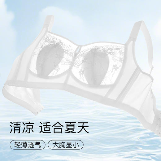 【超薄透气大胸显小】全罩杯夏季薄款调整型内衣收副乳镂空文胸美人香草A 商品图0