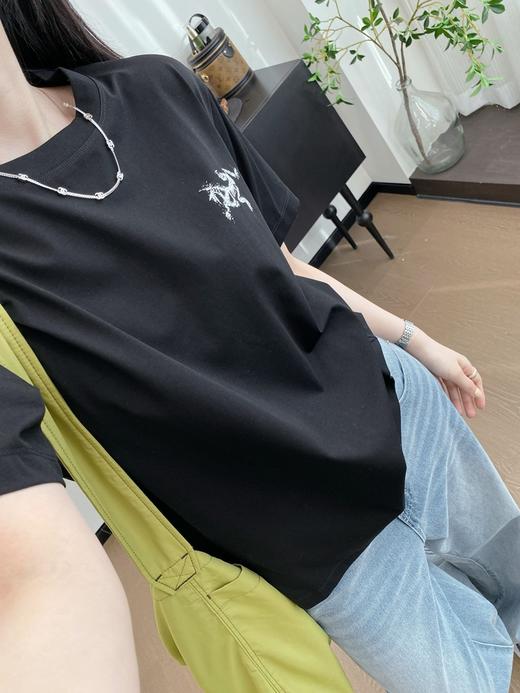 始祖鸟新款九宫格背后印花短袖T恤 （SS） 商品图5