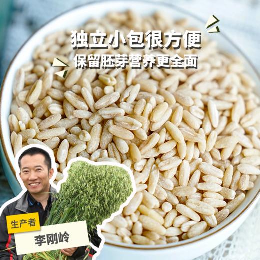 蒙北天然燕麦胚芽米 | 公平贸易*Mengbei Natural Oat Embryo Rice| Fair trade 商品图0