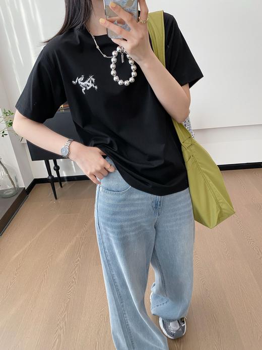 始祖鸟新款九宫格背后印花短袖T恤 （SS） 商品图4