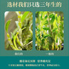 【买3送2】仙典石斛原浆50ml*8瓶/盒 甄选足龄3年林地石斛 铁皮石斛 无添加 商品缩略图2