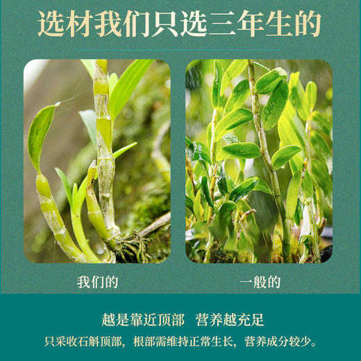 【买3送2】仙典石斛原浆50ml*8瓶/盒 甄选足龄3年林地石斛 铁皮石斛 无添加 商品图2