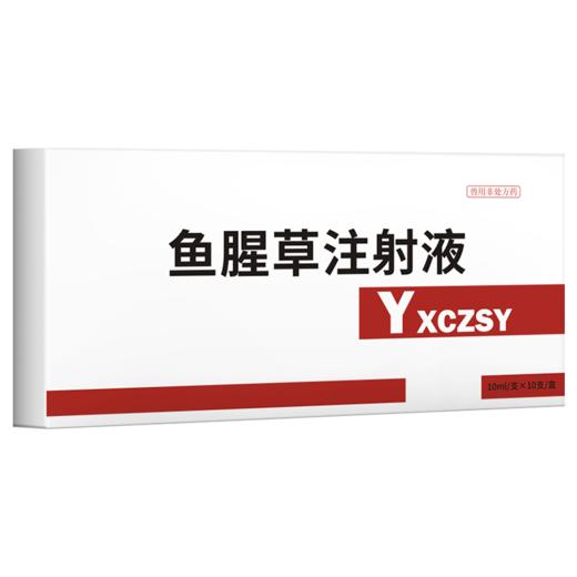 华畜鱼腥草注射液 产后康清热解毒消脓排肿 商品图4
