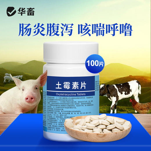 【积分兑换】华畜土霉素片兽药兽用猪龟鱼用水族鸡鸭鹅羊宠物猫狗用腹泻拉稀消炎药 商品图0