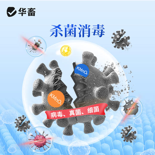 华畜高锰酸钾鱼用鱼缸消毒液鱼塘鱼池乌龟杀菌药高猛酸钾粉末兽用 商品图1