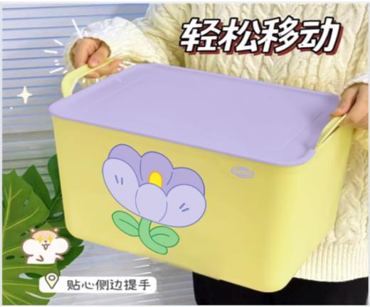 FREEMORE®自由点益生菌日/夜用组合套装-送花朵箱【宝库优选】 商品图14