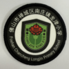 通版佛山市禅城区南庄镇龙津小学包边校徽姓名贴章可缝烫现货发51 商品缩略图0