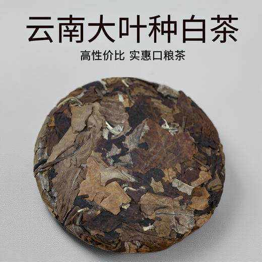 云南大叶种寿眉老白茶100克/饼醇厚回甘更耐泡 商品图3