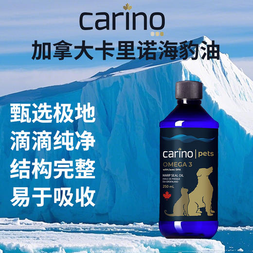 海豹油猫狗营养油 商品图0