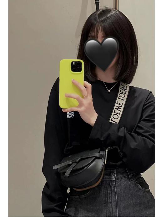 罗意威 新版logo绣花编织宽肩带马鞍包 多色合集 （MM） 商品图5