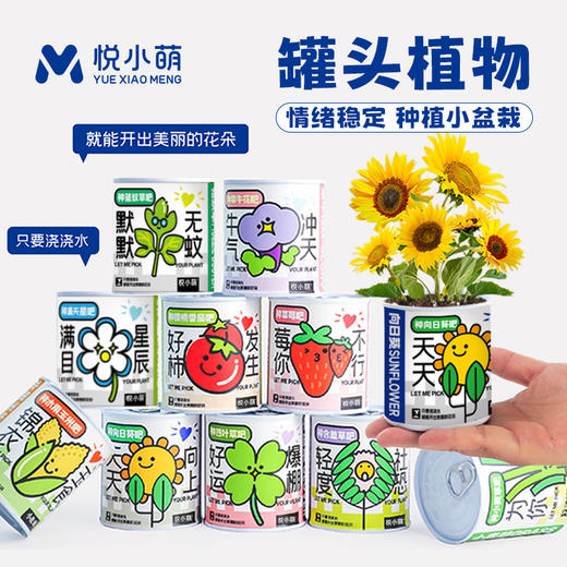 【2罐更划算❗绿植桌面罐头】网红办公室绿植桌面，易种易养活，体验植物生长乐趣，罐头植物幸运草向日葵种子儿童种植迷你小盆栽QQ 商品图0