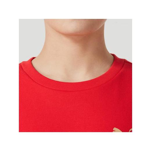 PUMA彪马 男卫衣 691344-11 商品图3