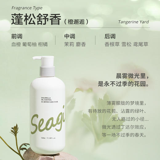 Seagilon森之露 控油蓬松洗发露520ml 6930494505276 商品图4