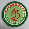 通版佛山市禅城区绿景小学包边校徽服布标姓名贴章可缝烫现货发51 商品缩略图0