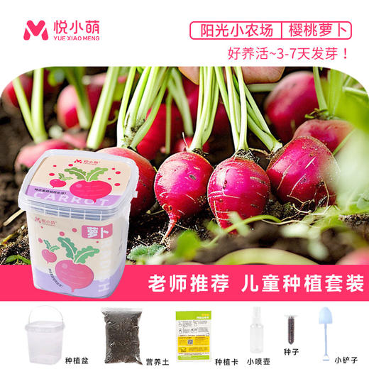 【科学种植❗植物生长观察盒】轻松种植好养活，让孩子感受生命的奇妙，提升动手能力，亲子互动，科学作业植物生长观察盒儿童种植迷你小盆栽幼儿园小学QQ 商品图13