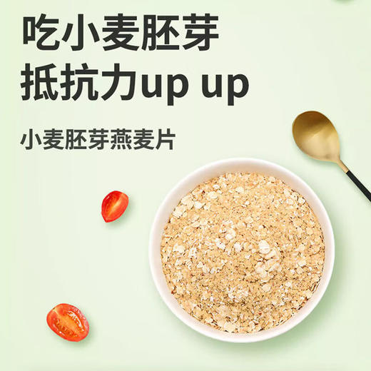 小麦胚芽燕麦片1kg罐装高蛋白高纤维0蔗糖早餐冲饮家庭囤货装 商品图1