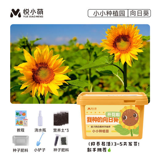 【送工具❗盆栽植物生长观察盒】孩子的自然科学伙伴，简单易种植好养活·，配套齐全静待花开，简单易种植好养活，小盆栽学生植物生长观察盒幼儿园草莓玉米向日葵迷你农场QQ 商品图5