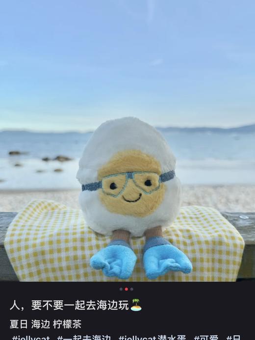 原厂订单！ jellycat 水煮蛋潜水造型  毛绒玩偶   潜水蛋 商品图2