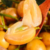 郁南黄皮 | 广东郁南特产 ! 一口水润爆汁，酸甜回甘 ! 夏日限定，金黄饱满诱人，晶莹剔透果肉 ! 剪枝发货，品种正宗 ! 商品缩略图2