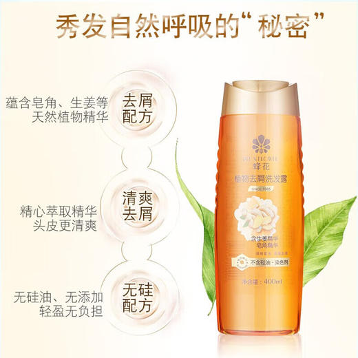 蜂花 植物去屑生姜精华洗发露400ml*1瓶 110058001 商品图3