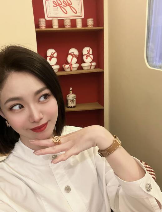 罗意威 满钻耳钉（XTY） 商品图5