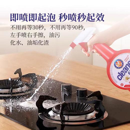 红运大公鸡清洁剂760ml 商品图3