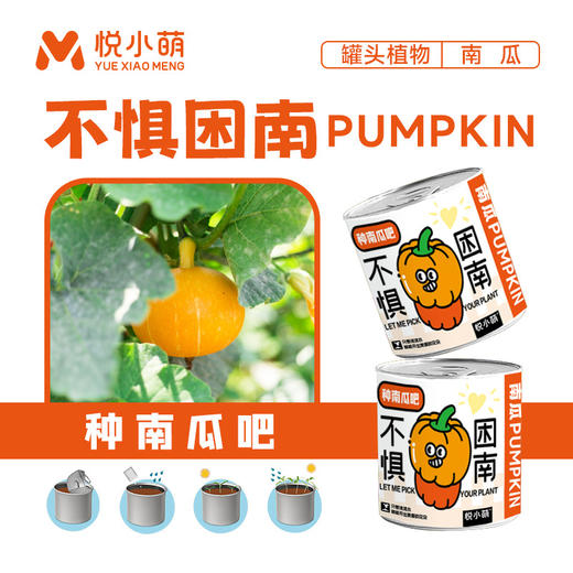 【2罐更划算❗绿植桌面罐头】网红办公室绿植桌面，易种易养活，体验植物生长乐趣，罐头植物幸运草向日葵种子儿童种植迷你小盆栽QQ 商品图9