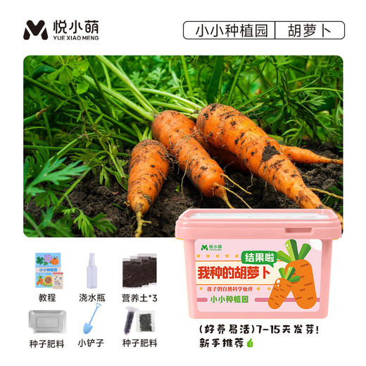 【送工具❗盆栽植物生长观察盒】孩子的自然科学伙伴，简单易种植好养活·，配套齐全静待花开，简单易种植好养活，小盆栽学生植物生长观察盒幼儿园草莓玉米向日葵迷你农场QQ 商品图7