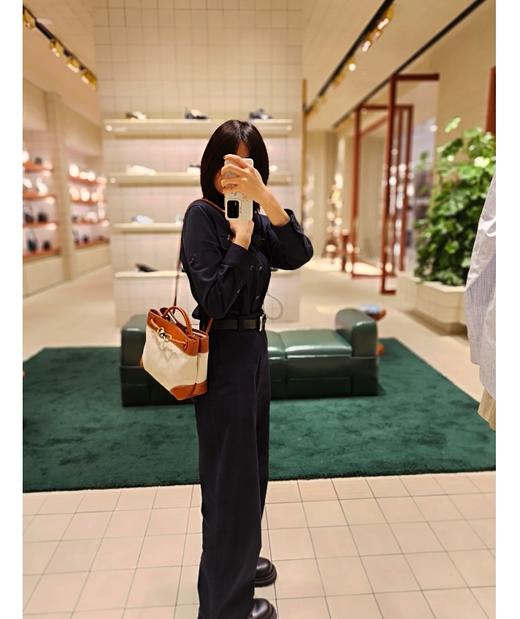 葆蝶家  BV 最新的配色，有点像爱马仕家的拼色系列  单肩包 斜挎包(MM) 商品图6