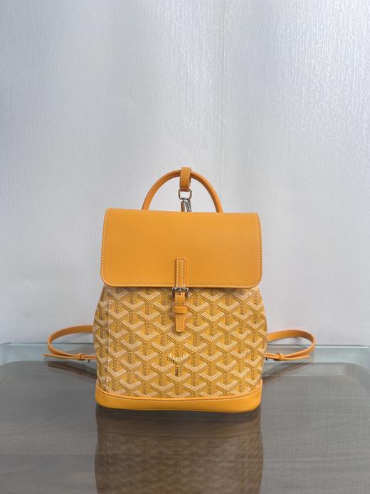 戈雅 mini双肩包 第二代版本  7色齐色出货 （XS） 商品图7