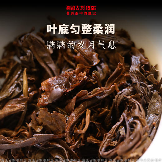 澜沧古茶2006年006花盖大饼普洱茶老茶高香干仓优质量少 商品图3