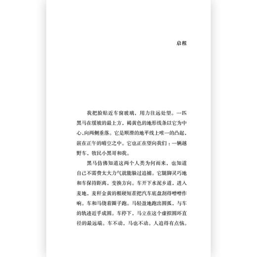 荒野寻马 生命重启旅行记录之书 原创非虚构文学随笔 后浪正版 商品图2