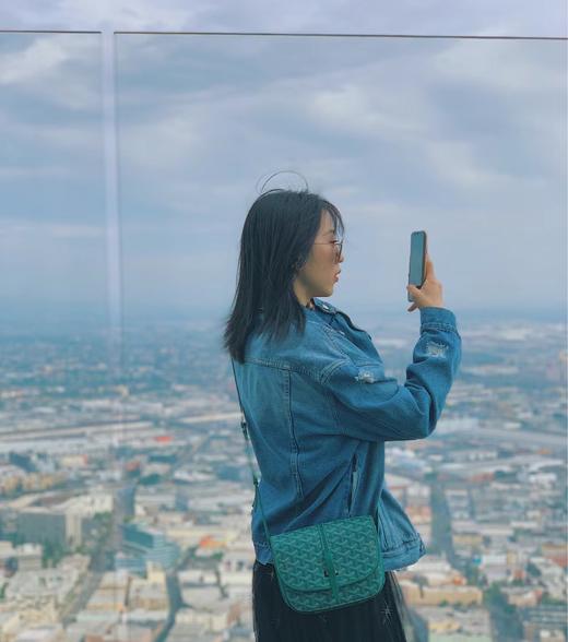 戈雅 马鞍包/邮差包四色现货 （XS） 商品图12