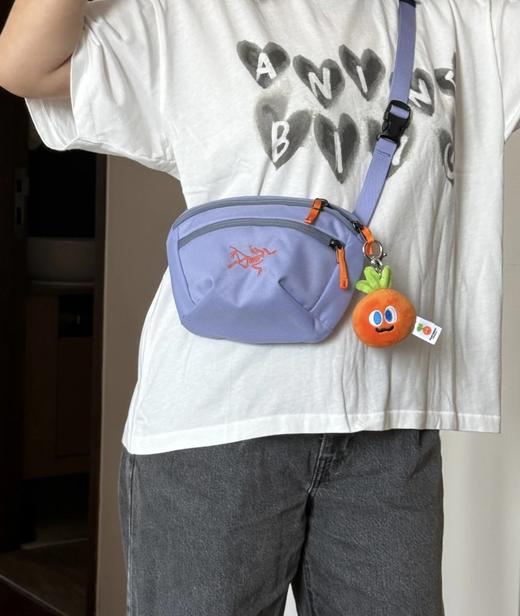 始祖鸟 系列1.5L挎包/腰包（SS） 商品图4