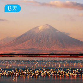 春节跨年·乞力马扎罗威士忌线 8日