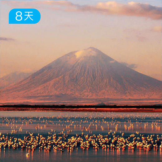 春节跨年·乞力马扎罗威士忌线 8日 商品图0