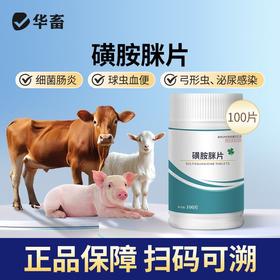 华畜磺胺脒片兽用痢疾肠炎血痢家畜肠道细菌性感染肠炎牛犊便血