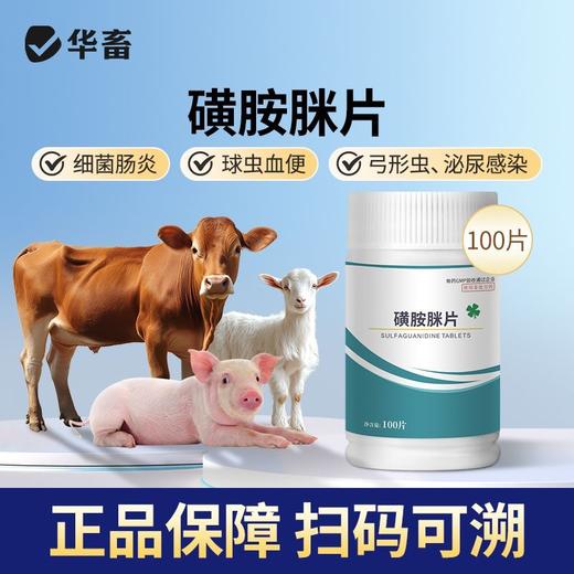 华畜磺胺脒片兽用痢疾肠炎血痢家畜肠道细菌性感染肠炎牛犊便血 商品图0