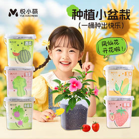 【科学种植❗植物生长观察盒】轻松种植好养活，让孩子感受生命的奇妙，提升动手能力，亲子互动，科学作业植物生长观察盒儿童种植迷你小盆栽幼儿园小学QQ