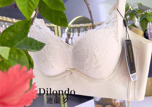 迪兰多内衣小胸中厚杯舒适款无钢圈聚拢大包容小胸显大2118456 商品图7