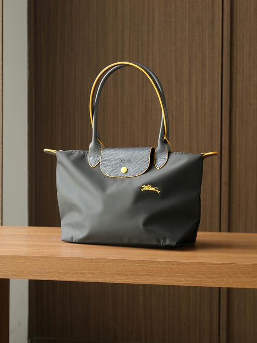 珑骧  爆款购物袋  一共三个尺寸 多色（SS） 商品图12