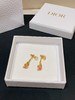 迪奥  玫瑰花藤  珐琅耳环  （XTY） 商品缩略图0