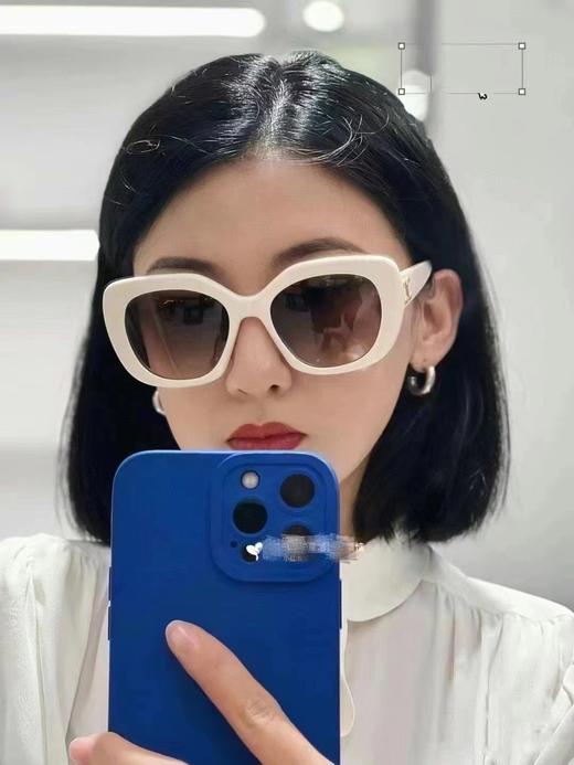 赛琳  新品墨镜太阳镜  CL40226 （JH） 商品图11