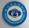 通版佛山市汾江中学包边校徽校服礼服布标姓名贴章可缝烫现货发51 商品缩略图0