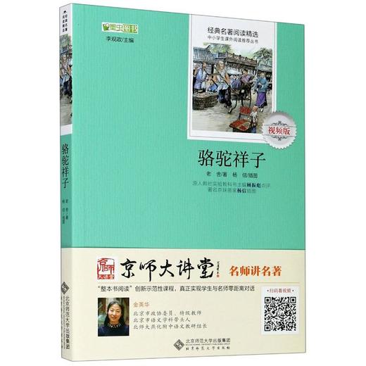 骆驼祥子 视频版 商品图0