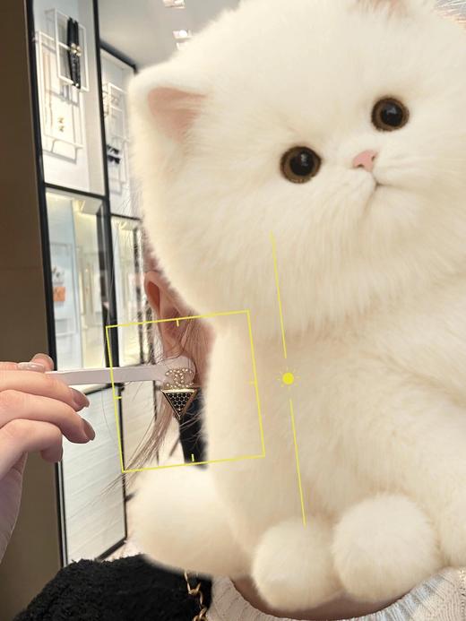 香奈儿  双c三角黑钻耳环（XTY） 商品图8